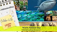 World Animal Day - October 4