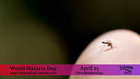 World Malaria Day - April 25