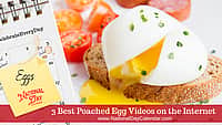 3 Best Poached Egg Videos on the Internet