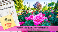 7 Most Beautiful Rose Gardens