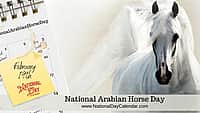 National Arabian Horse Day - February 19