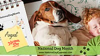 National Dog Month - August