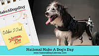National Make A Dog's Day - October 22