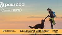 National Pet CBD Month