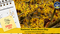 National Witch Hazel Day - October 21st