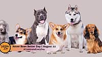 Never Bean Better Day - August 22