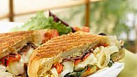 Spicy Caramelized Onion Basil and Roasted Red Pepper Panini