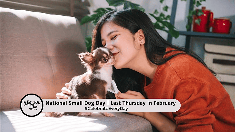 Dogs In February NATIONAL SMALL DOG DAY - February 26, 2026 - National Day Calendar