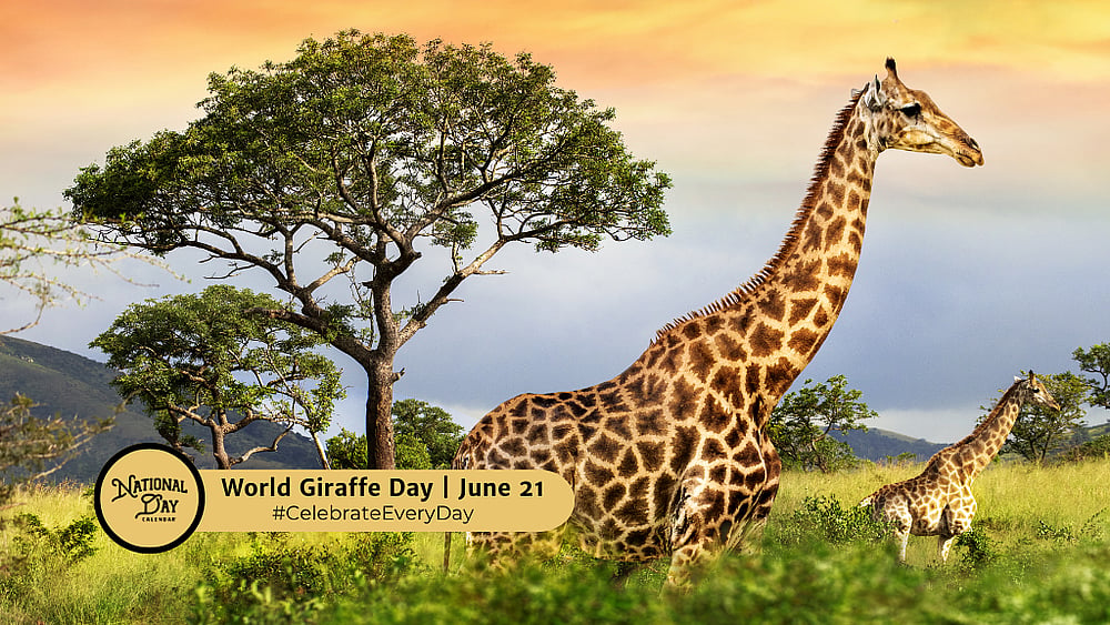 WORLD GIRAFFE DAY - June 21, 2026 - National Day Calendar