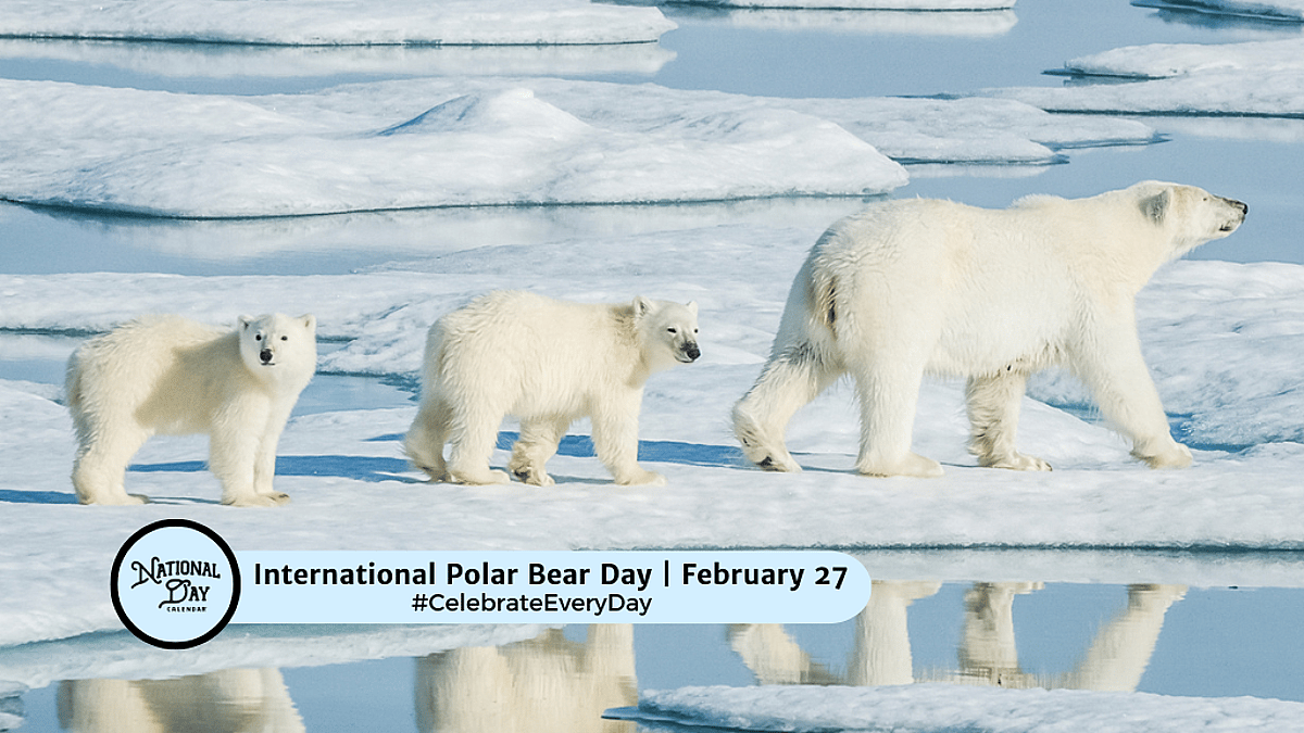 INTERNATIONAL POLAR BEAR DAY - February 27, 2026 - National Day Calendar
