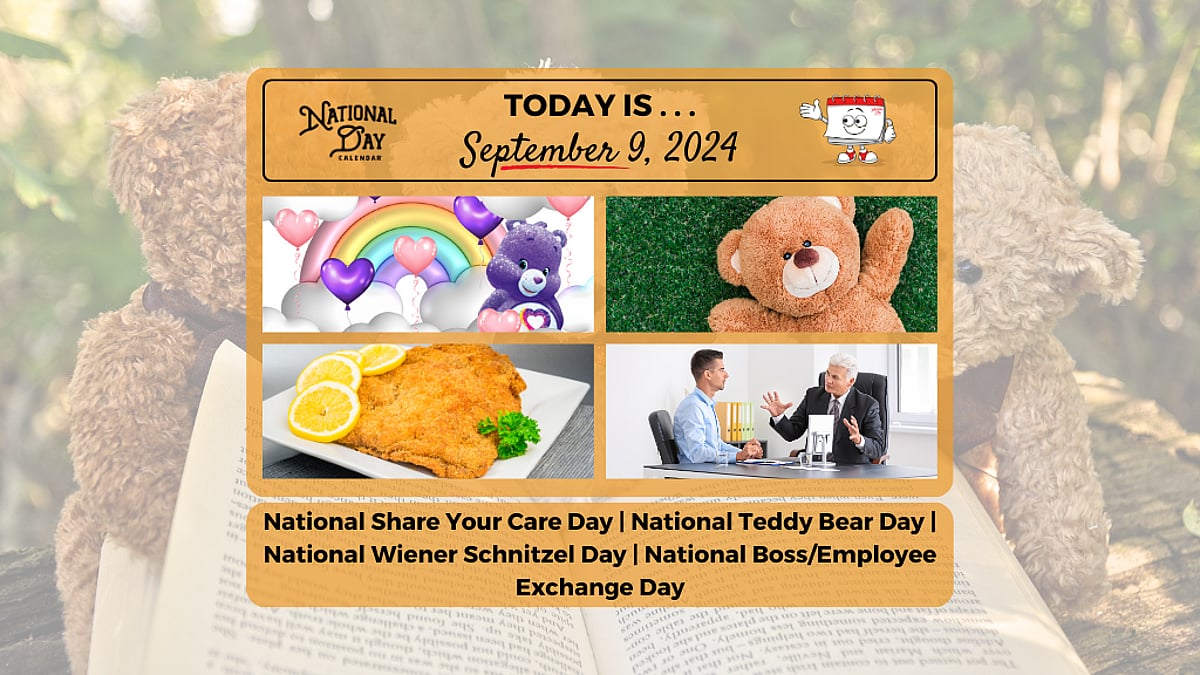 SEPTEMBER 9, 2024 | NATIONAL TEDDY BEAR DAY | CARE BEARS™ SHARE YOUR ...