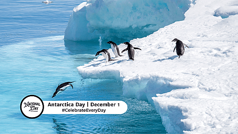 Antarctica Day