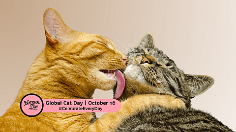 Global Cat Day