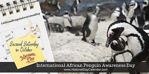 International African Penguin Awareness Day - Second Saturday in October