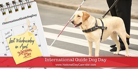 International Guide Dog Day - Last Wednesday in April