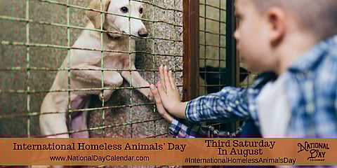 INTERNATIONAL HOMELESS ANIMALS’ DAY – Third Saturday in August
