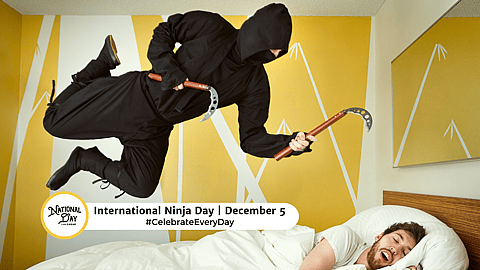 International Ninja Day