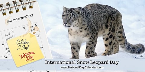 International Snow Leopard Day - October 23