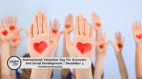International Volunteer Day