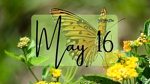 MAY 16 | Birthdays and Events