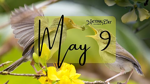 MAY 9 | Birthdays and Events