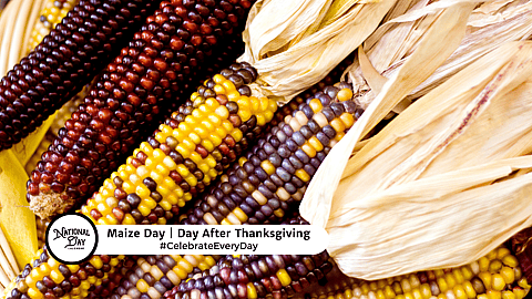 Maize Day