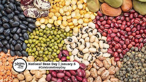 National Bean Day