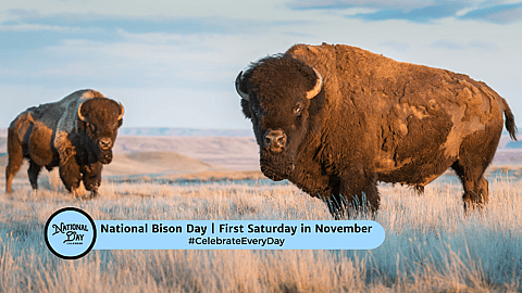 National Bison Day