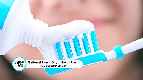National Brush DAy