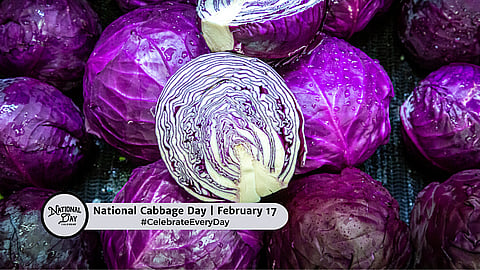 NATIONAL CABBAGE DAY - February 17 