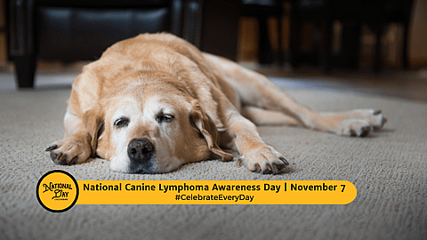 National Canine Lymphoma Awareness Day