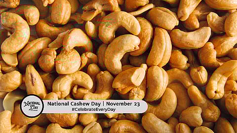 National Cashew Day