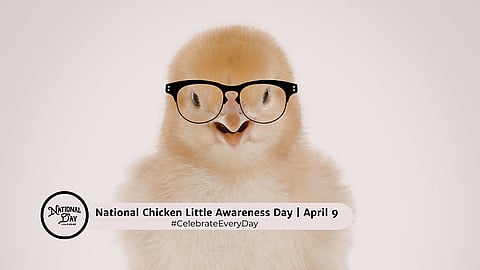 National Chicken Little Awareness Day