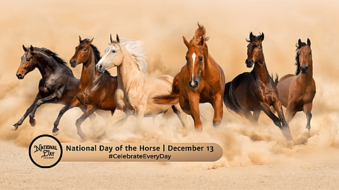 National Day of the Horse