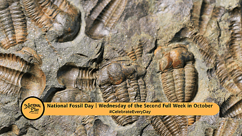 National Fossil Day