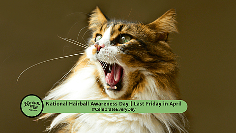 NATIONAL HAIRBALL AWARENESS DAY  Last Friday in April
