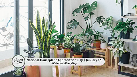 National Houseplant Appreciation Day