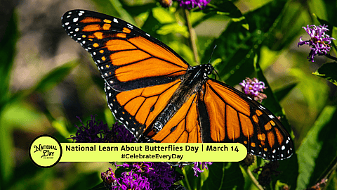 NATIONAL LEARN ABOUT BUTTERFLIES DAY  March 14