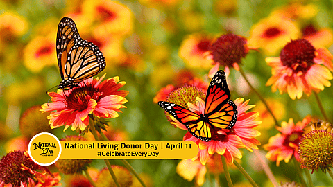 NATIONAL LIVING DONOR DAY  April 11
