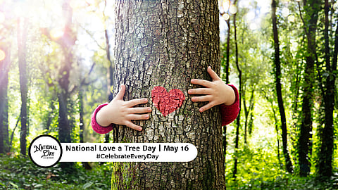 NATIONAL LOVE A TREE DAY  May 16