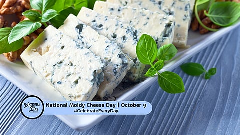 National Moldy Cheese Day