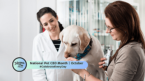 National Pet CBD Month