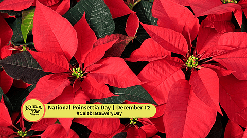 National Poinsettia Day