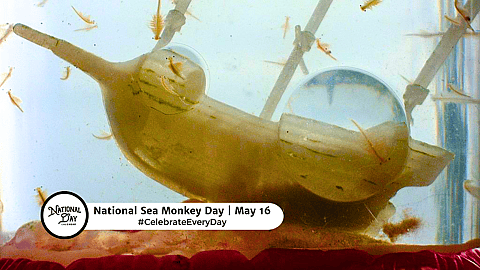 NATIONAL SEA MONKEY DAY  May 16