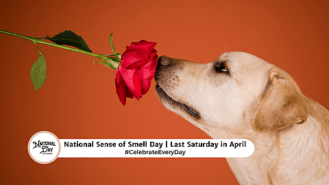 NATIONAL SENSE OF SMELL DAY  Last Saturday in April