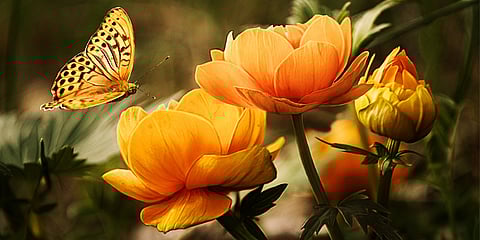 POSITIVE THINKING DAY  September 13