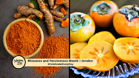 Rhizomes and Persimmons Month