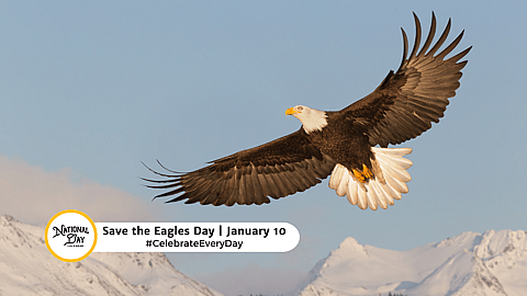 Save the Eagles Day