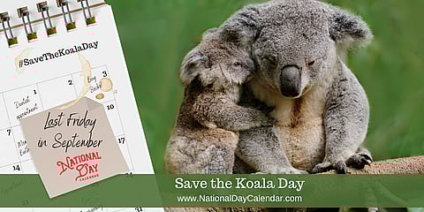 Save the Koala Day - Last Friday in September