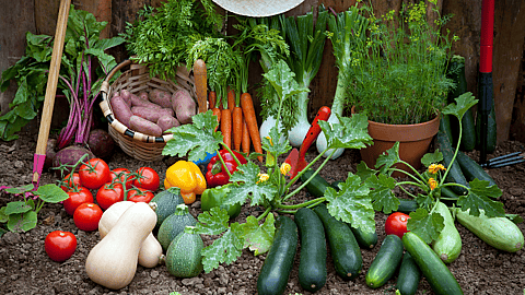 NATIONAL AG DAY | Thursday of Ag Week